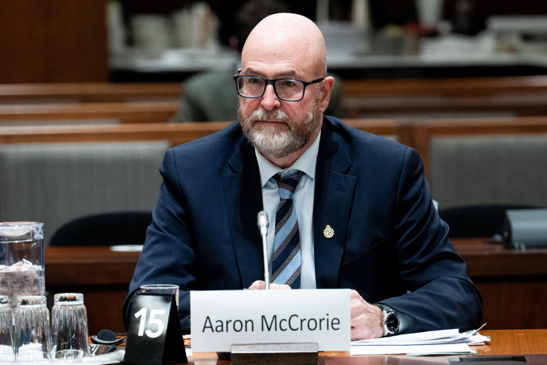 10,000-cbsa-removal-warrants-active-for-more-than-one-year