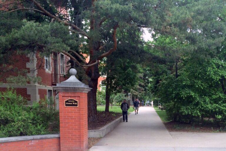 university-of-alberta-proposes-ending-dei-hiring-requirements-pending-board-of-governors’-approval