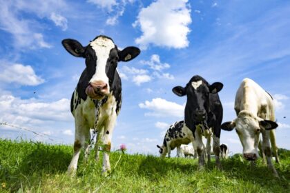 sylvain-charlebois:-canada-chooses-to-dump-milk-rather-than-lower-prices