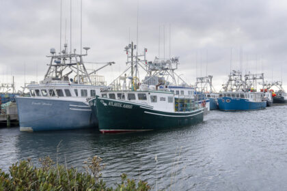 john-robson:-the-more-canada-relies-on-investment-from-corrupt-regions,-the-worse-off-we-will-be