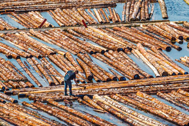 bc’s-coastal-mill-closures-tied-to-deep-and-ongoing-issues-in-forestry-sector