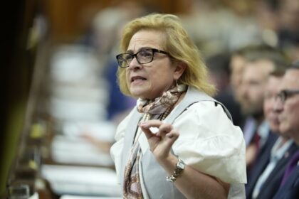 liberal-government-grows-express-entry-immigration-for-military-recruits,-researchers