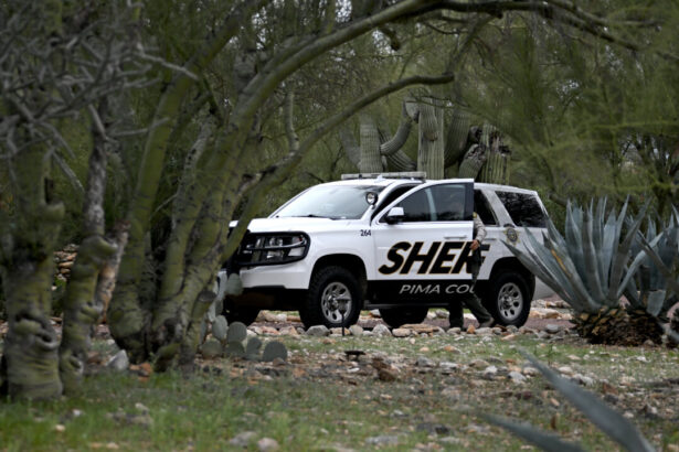 mexican-officials-say-no-formal-fbi-request-in-nancy-guthrie-case