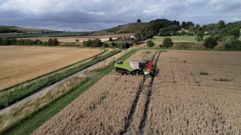 farmers-ask-for-pause-in-latest-inheritance-tax-laws