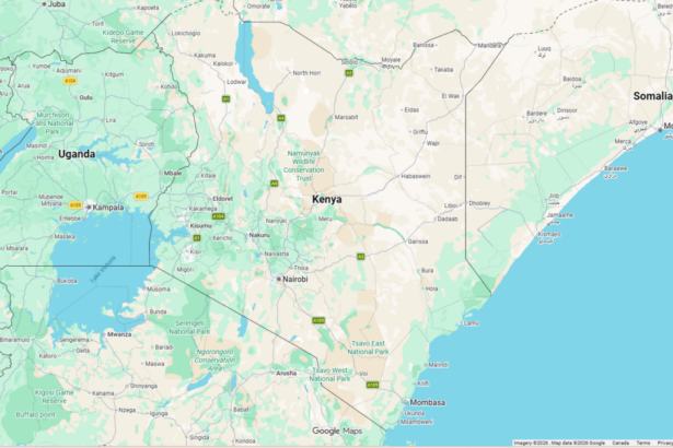 kenyan-mp-among-six-people-killed-in-helicopter-crash