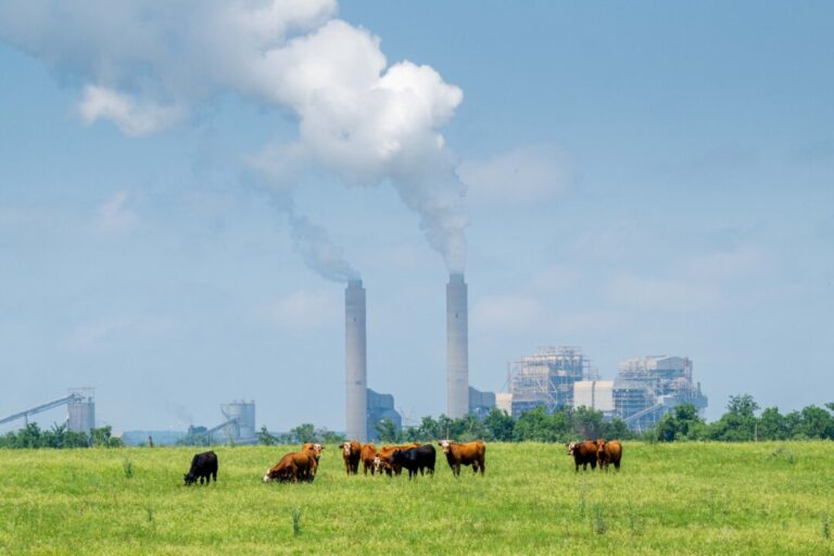 us-electricity-generation-hits-record-high-in-2025:-eia