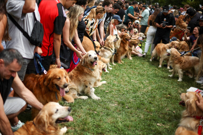 dog-owners-could-get-up-to-$150-in-cosequin-settlement:-who-qualifies-and-how-to-claim