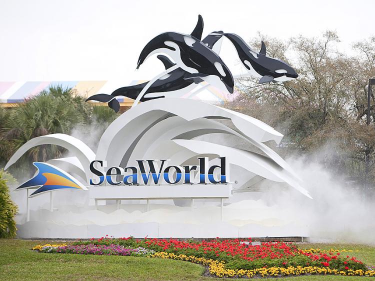 ‘sesame-street’-owners-sue-seaworld-to-terminate-licensing-deal