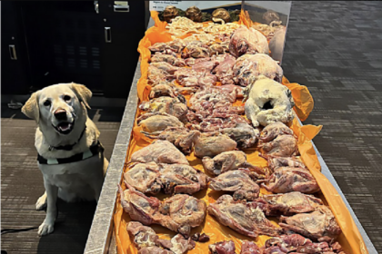 border-agency-dog-helps-seize-22.5-kilos-of-raw-meat-from-traveller