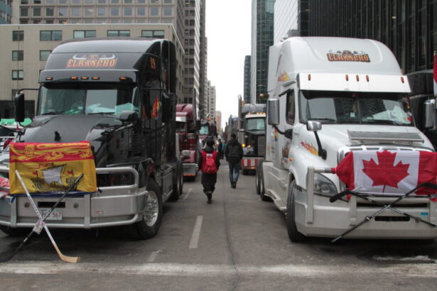 after-ottawa-appeals-emergencies-act-ruling,-what-convoy-court-cases-remain?