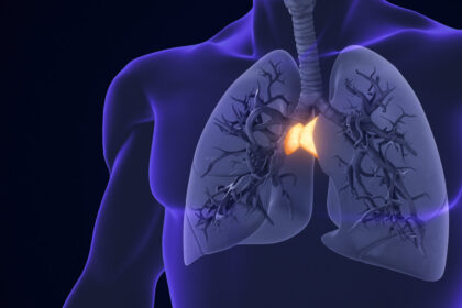 the-overlooked-organ-linked-to-longevity