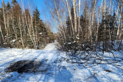 as-more-copper-wire-thefts-knock-out-service,-some-point-fingers-at-scrap-yards