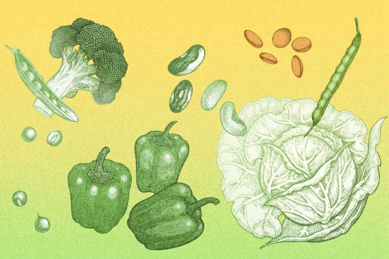 the-problem-with-antinutrients—and-how-to-reduce-their-negative-effects