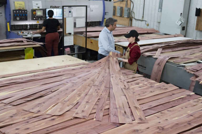 cbsa-launches-probe-into-possible-dumping-of-chinese-plywood