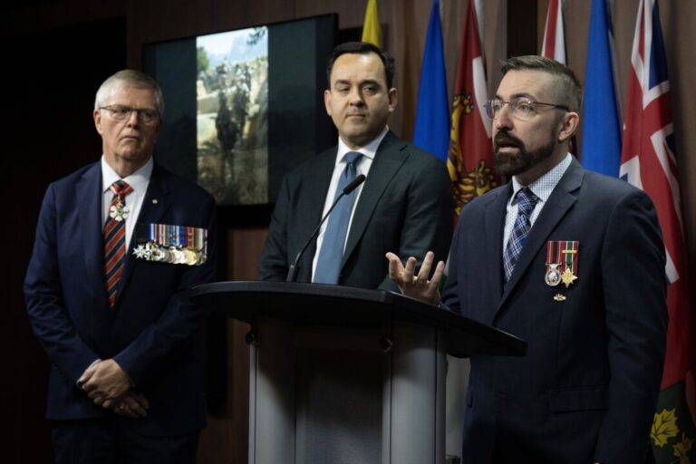 vets,-mps-call-on-feds-to-launch-honour-review-board-to-award-canadian-victoria-cross