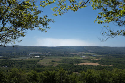 nova-scotia-court-rules-wildfire-woods-ban-‘unreasonable,’-cites-charter-concerns