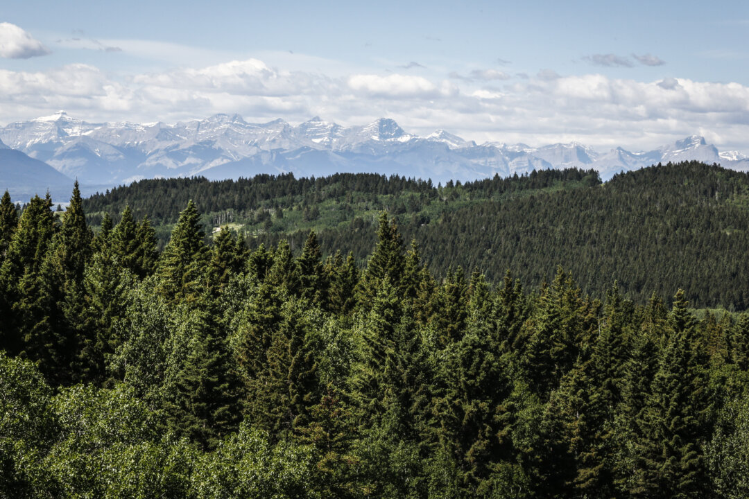 bc-search-and-rescue-team-find-hiker-in-his-70s-after-4-days-alone