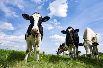 farming-groups-applaud-private-member’s-bill-aimed-at-speeding-up-product-approvals