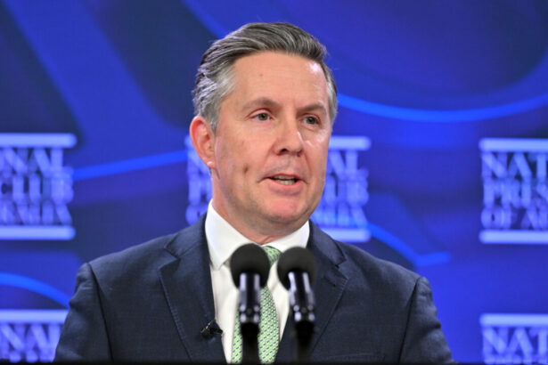 labor-pledges-to-cut-160,000-from-national-disability-scheme,-bring-growth-down-to-2-percent