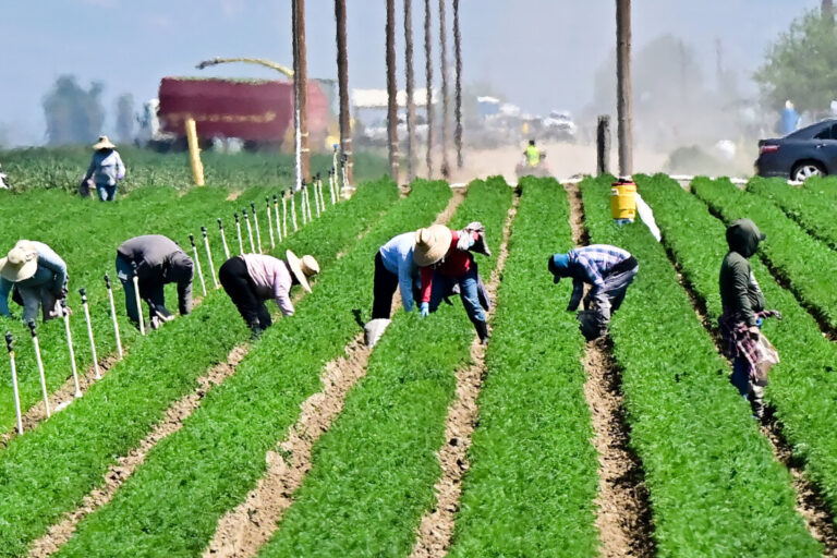 usda,-palantir-strike-$300-million-deal-to-modernize-farm-programs,-strengthen-security