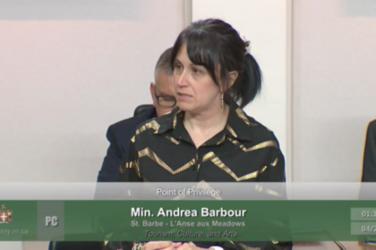 nl-minister-gives-tearful-speech-following-backlash-over-ai-image-that-removed-statue-honouring-veterans