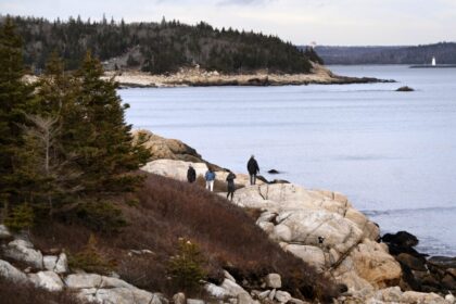 john-carpay:-court-ruling-on-nova-scotia’s-‘woods-ban’-a-victory-for-freedom