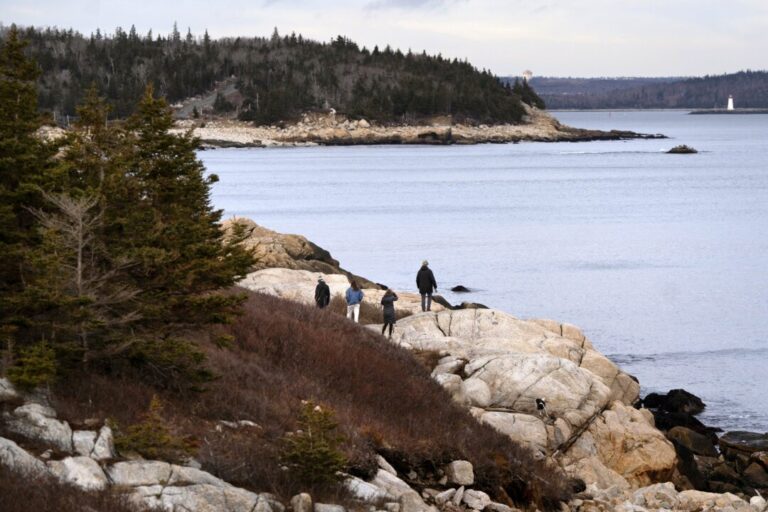 john-carpay:-court-ruling-on-nova-scotia’s-‘woods-ban’-a-victory-for-freedom