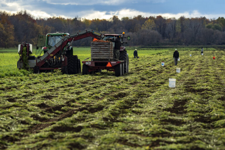 canada’s-food-system-is-under-strain—what-farmers-are-saying-should-concern-us-all