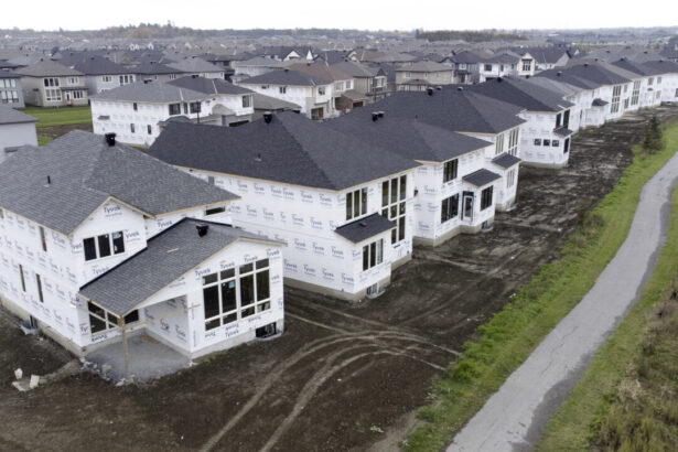 in-defence-of-suburbs-and-low-density-living