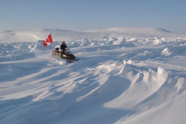what-stands-out-in-canadian-spy-agency’s-public-report-this-year