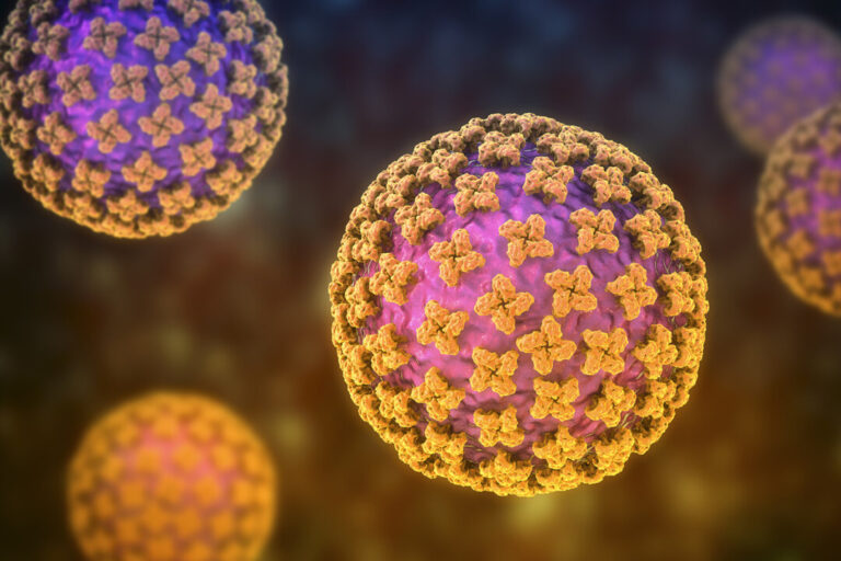 10-canadians-connected-to-hantavirus-outbreak,-chief-public-health-officer-says