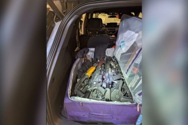 us-authorities-charge-3-hamilton-men-in-attempted-smuggling-of-89-firearms-into-canada
