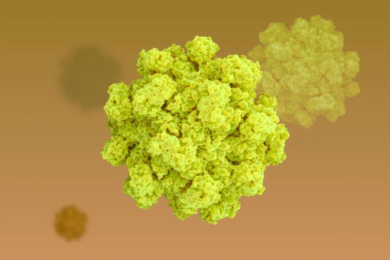 why-cruise-ships-keep-losing-the-battle-against-norovirus–what-you-need-to-know