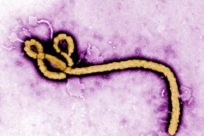 us-issues-travel-advisories-over-ebola-outbreak-in-congo