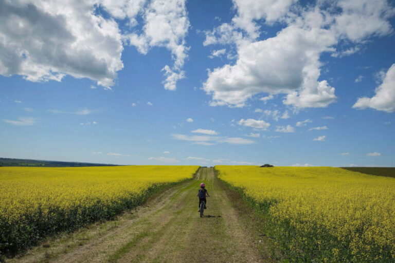conrad-black:-we-should-sympathize-with-canada’s-indigenous-people,-but-not-yield-to-radicals