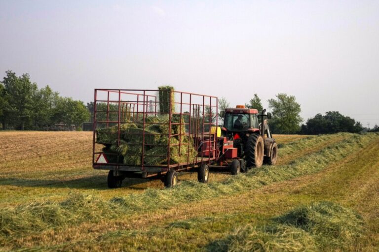 is-sustainability-policy-sustainable-for-the-family-farm?