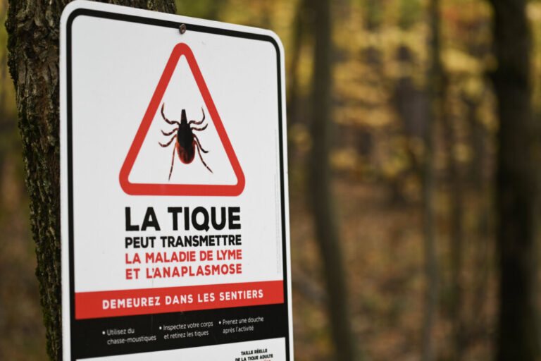 cases-of-lyme-disease-in-montreal-highest-in-more-than-20-years