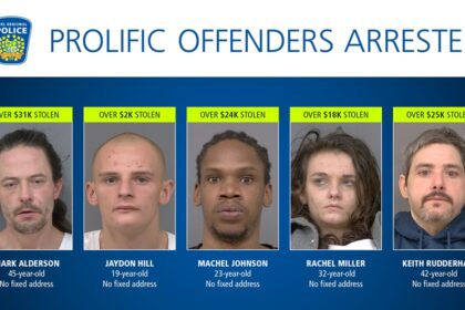 peel-police-arrest-65,-lay-nearly-550-charges-in-retail-theft-investigation
