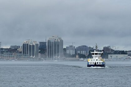 two-charged-after-human-remains-of-infant-found-in-halifax-search