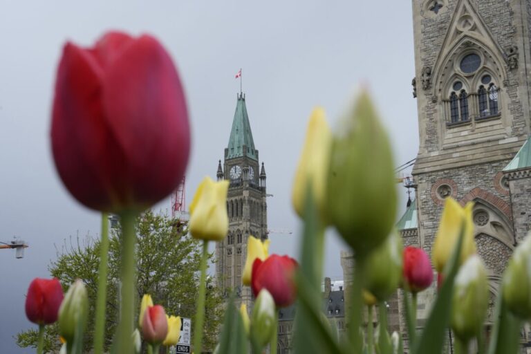 inclusion-groups-sign-open-letter-calling-on-ottawa-to-halt-maid-for-mental-illness