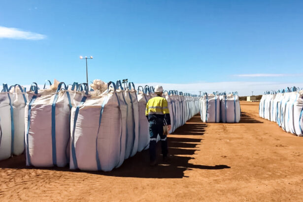 viridis-shuns-china,-targets-us-and-europe-for-brazil-rare-earth-project