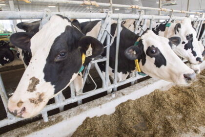 agriculture-minister-reappoints-canadian-dairy-commission-ceo-benoit-basillais