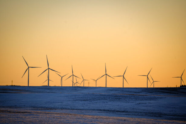 ny-and-6-states-sue-federal-government-over-canceled-wind-project
