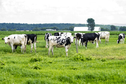 canada’s-milk-contradiction