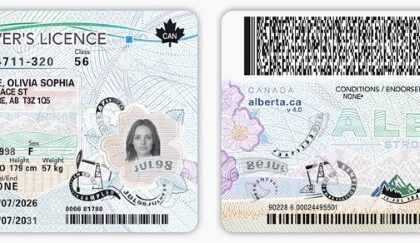 alberta-to-roll-out-combined-id-cards-in-july