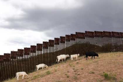 flesh-eating-screwworm-reappears-in-us:-5-things-to-know
