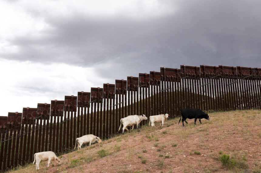 flesh-eating-screwworm-reappears-in-us:-5-things-to-know