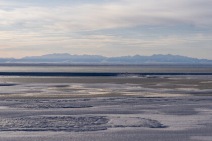 us-sells-5-oil-and-gas-leases-in-alaska’s-arctic-refuge-for-$3.7-million