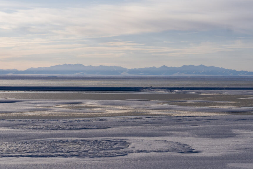 us-sells-5-oil-and-gas-leases-in-alaska’s-arctic-refuge-for-$3.7-million