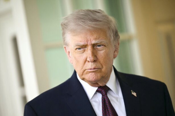 trump-says-he’s-‘not-looking-to-renew’-trade-deal-with-canada,-mexico-ahead-of-july-review